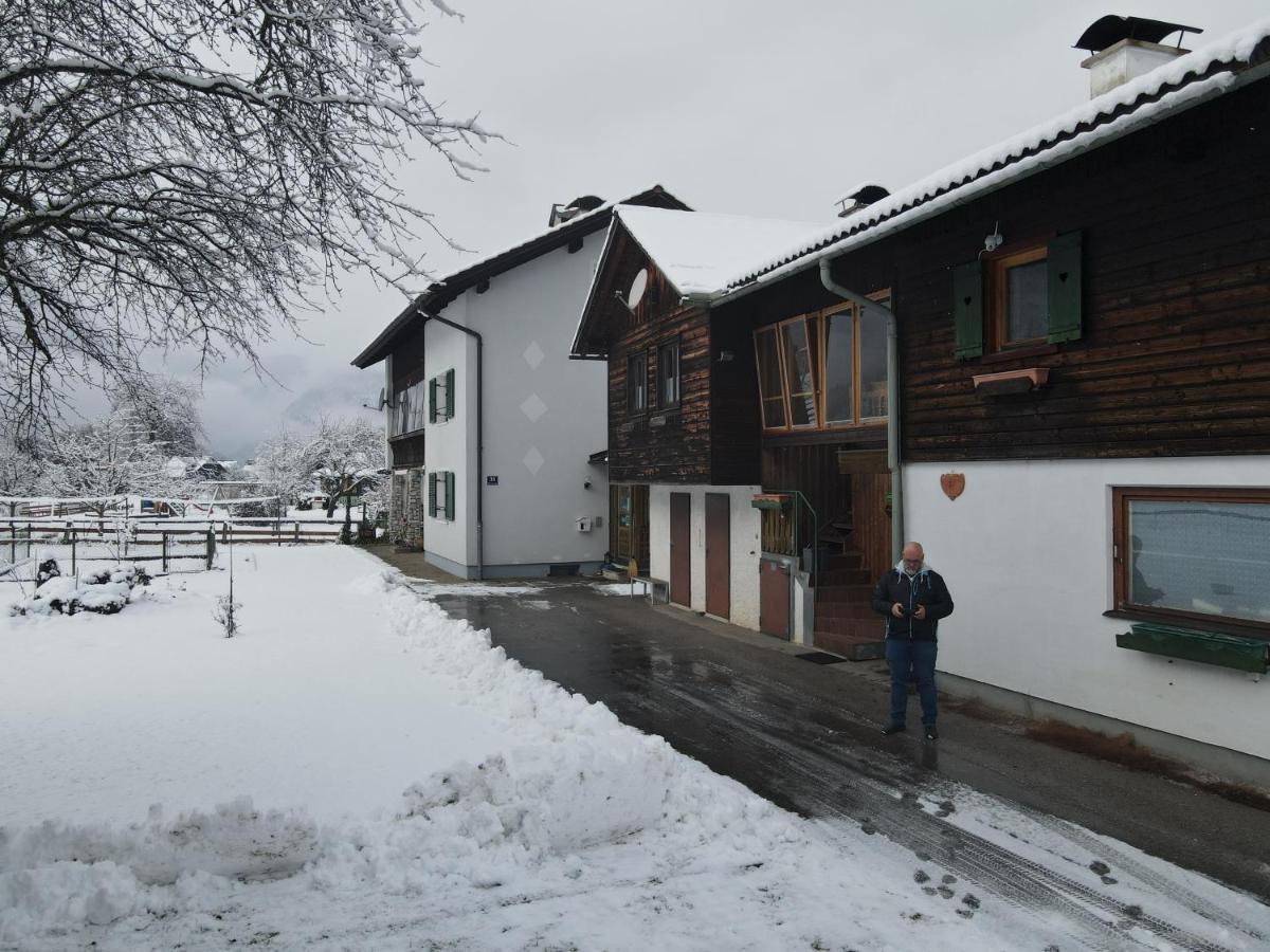 Ferienwohnung Stricker Obertraun Exterior photo